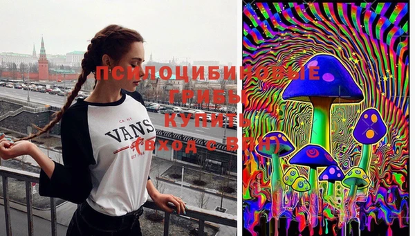 мдпв Арсеньев